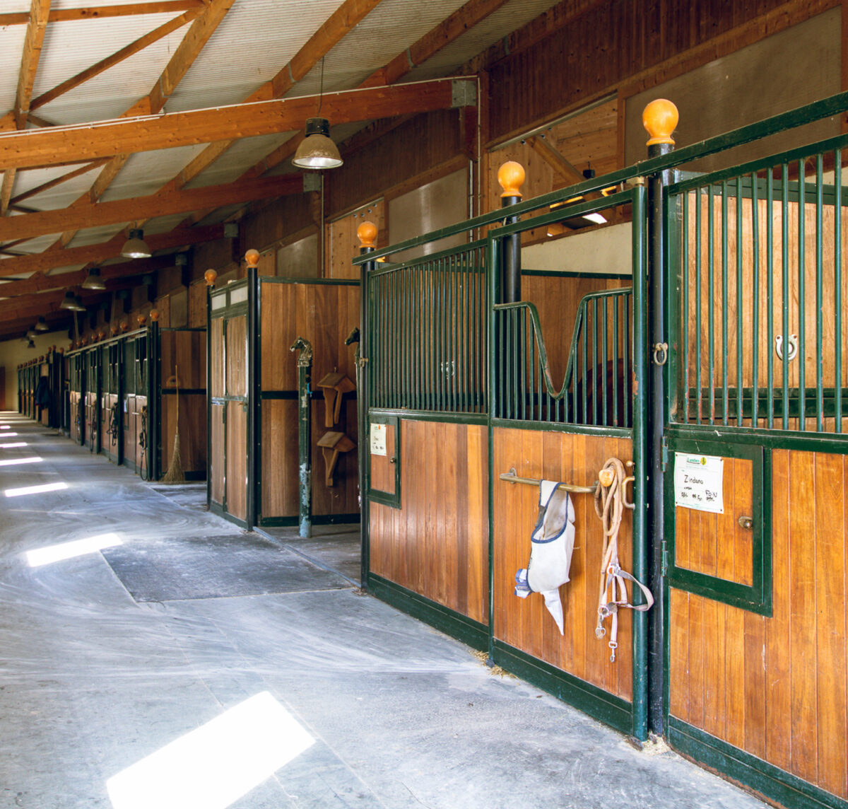 Box-a-cheval-vide-a-louer-Haras-de-Castellane-squared