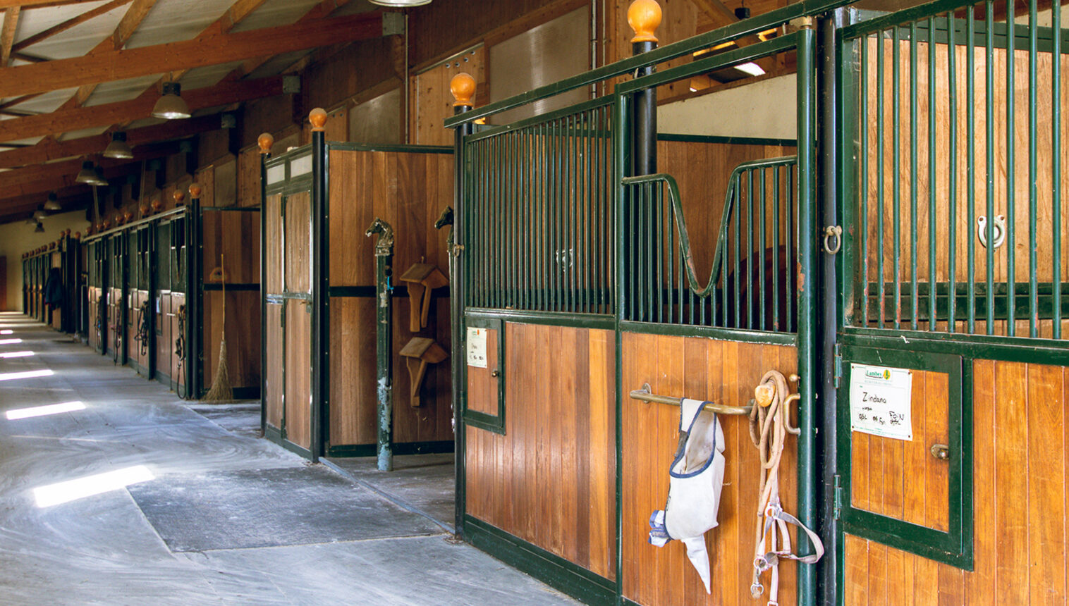 Box-a-cheval-vide-a-louer-Haras-de-Castellane-squared