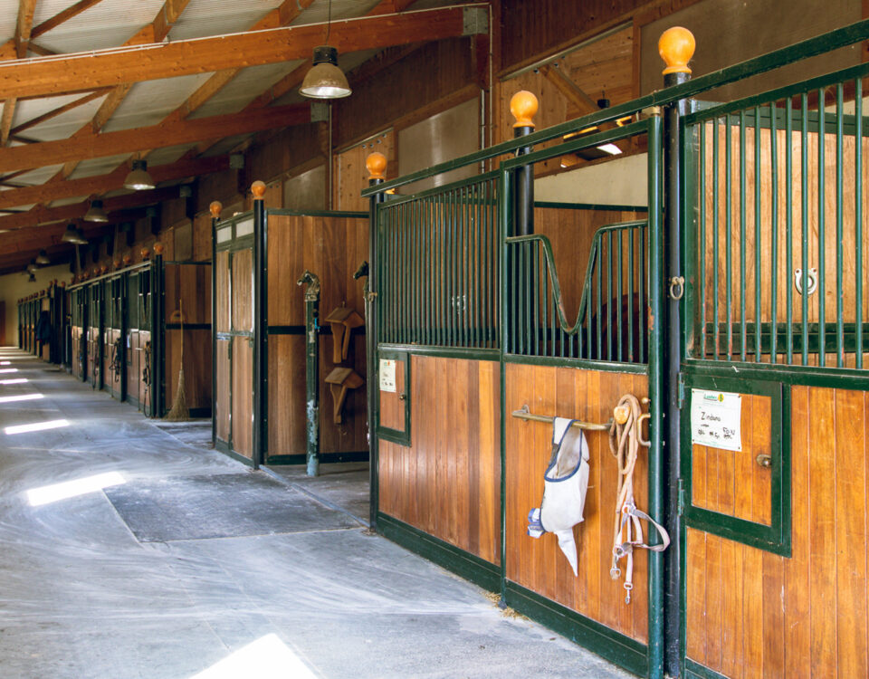 Box-a-cheval-vide-a-louer-Haras-de-Castellane-squared
