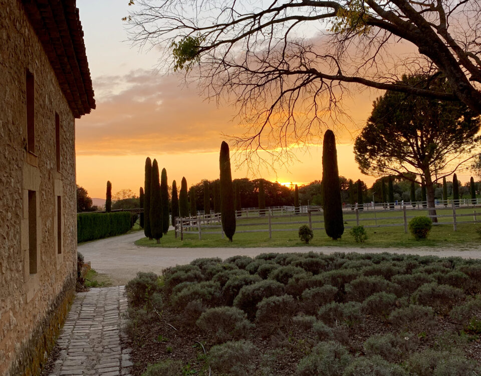 Allée du Haras de Castellane - Organisation d'évènement