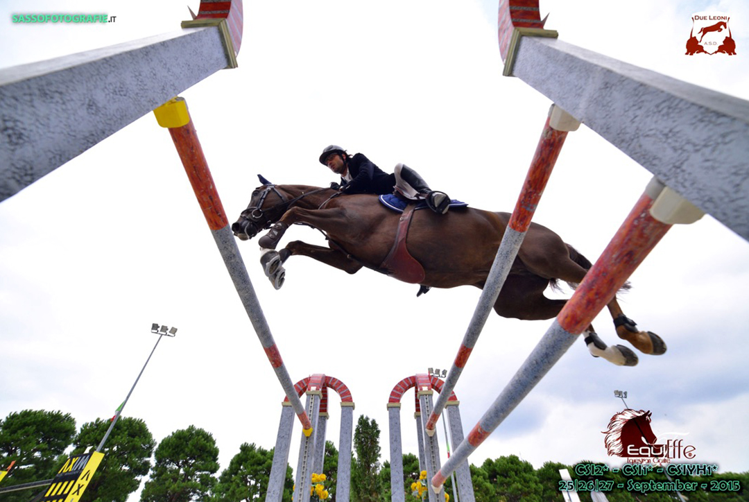 Concours équestres - Haras de Castellane