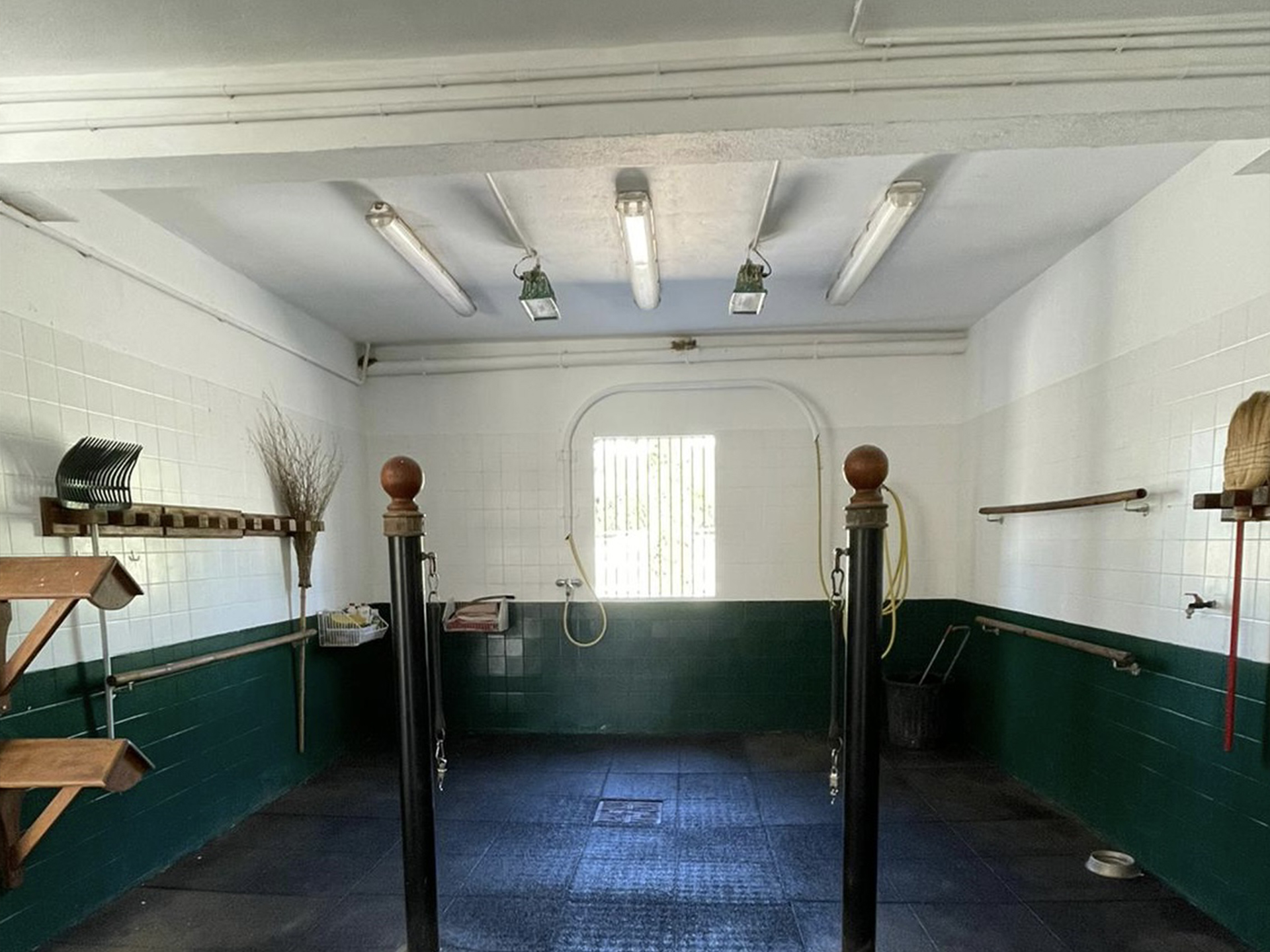 Espace de soin & entretien - Haras de Castellane