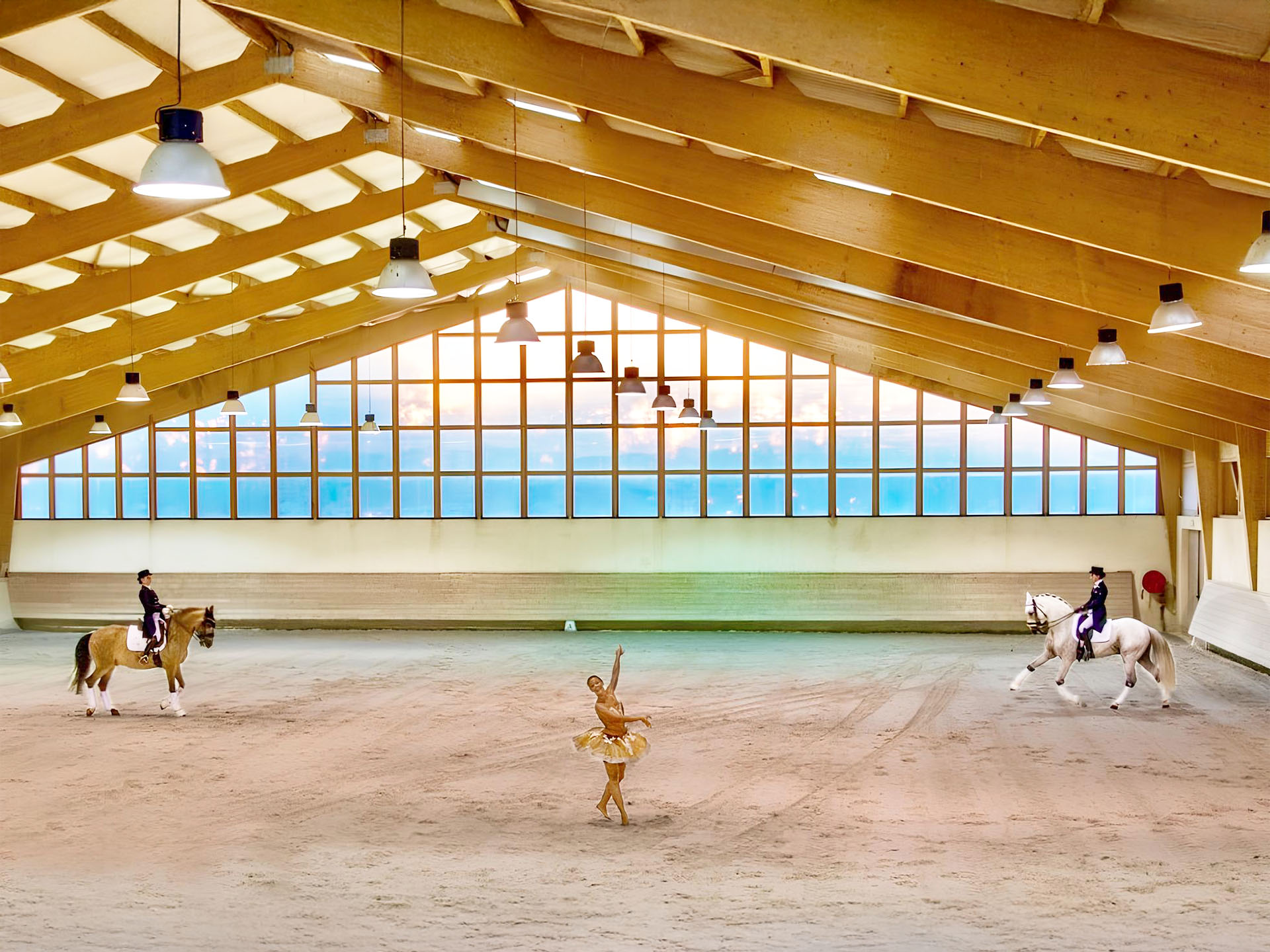Spectacle équestre dans le manège - Haras de Castellane